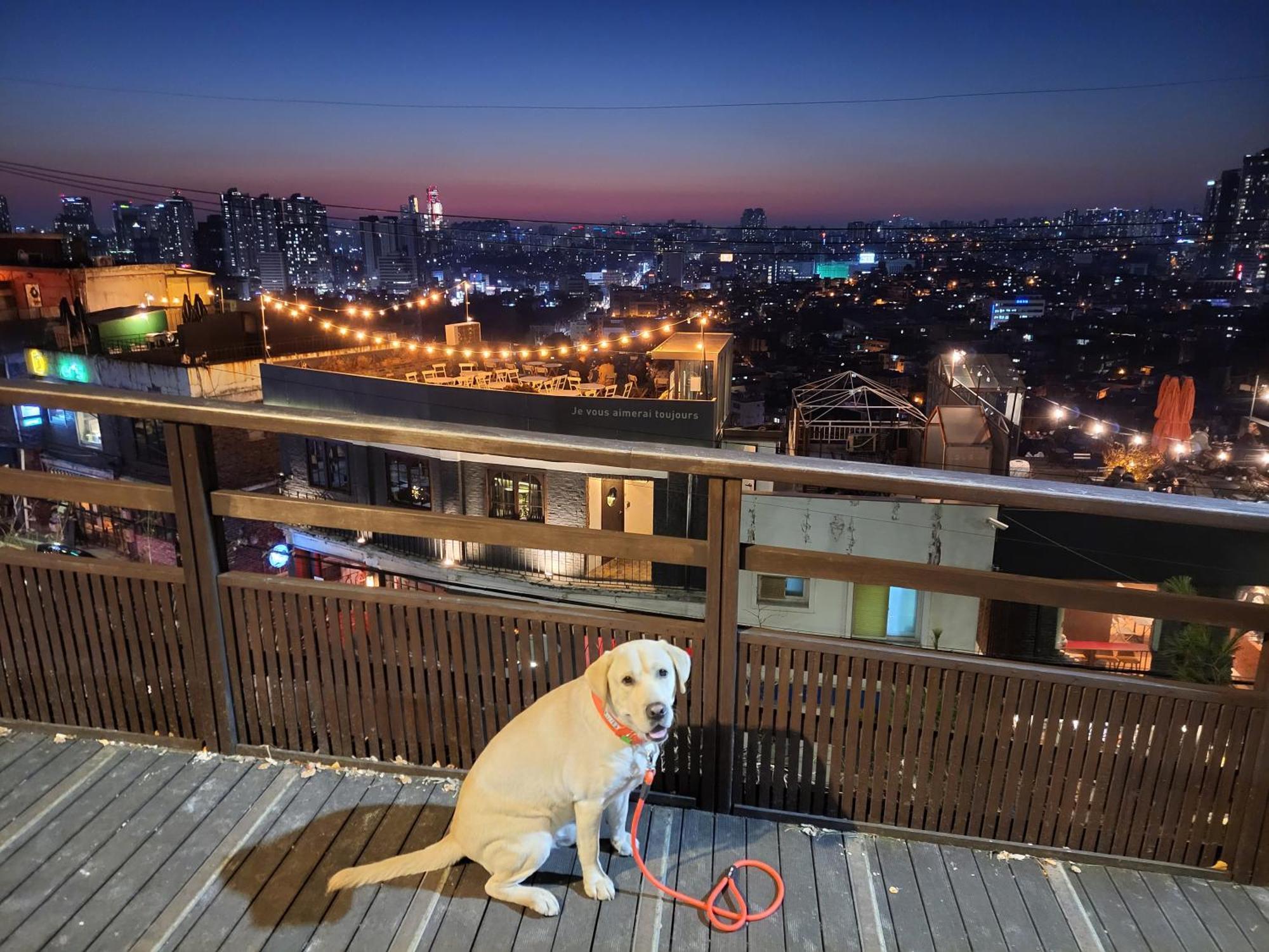 Cozy Private Home Newly Renovated #3 ソウル特別市 エクステリア 写真